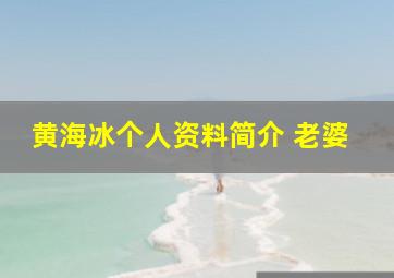 黄海冰个人资料简介 老婆